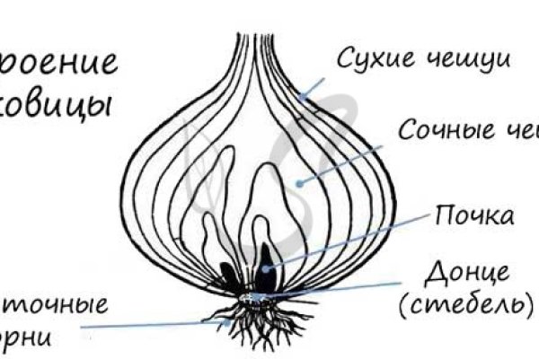 Как открыть ссылку с кракена