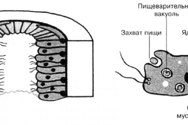 Сайт кракен через тор