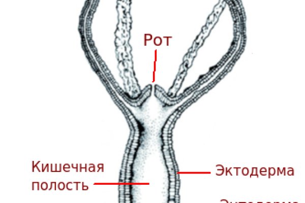 Кракен оригинальная ссылка для тор