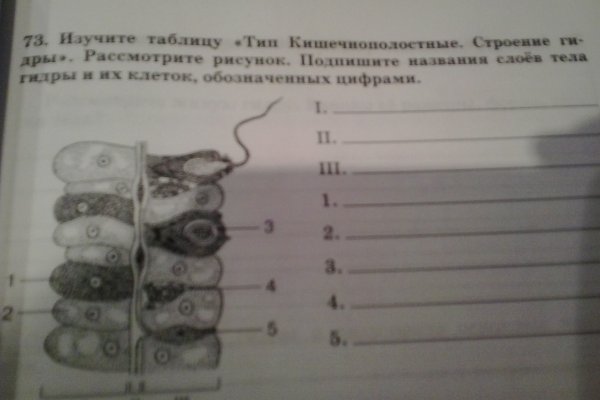 Кракен почему пользователь не найден