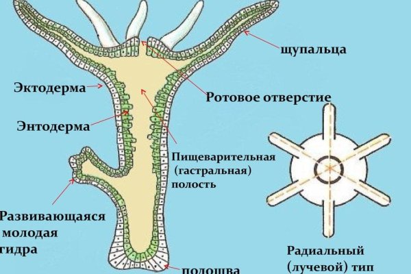 Кракен сайт ссылки актуальные