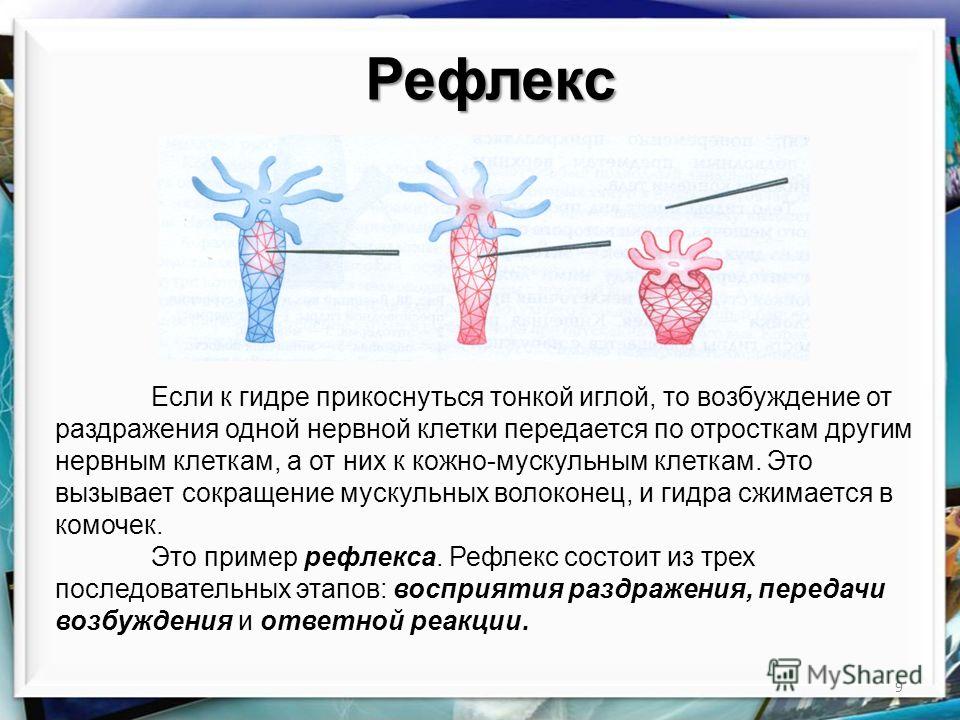 Кракен магазин krakens13 at