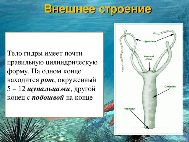 Почему не могу зайти на кракен